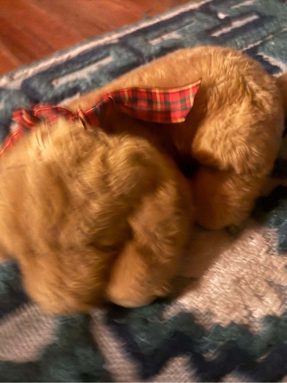Vintage Mary Meyer sleeping golden puppy stuffed  animal